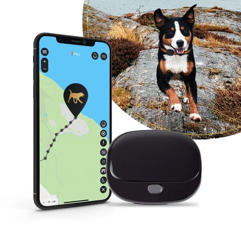 Gps Tracker Ohne Abo