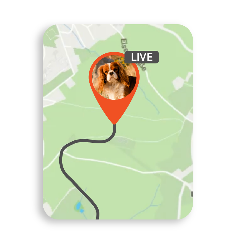 Screenshot der App, der das Live-Tracking eines Hundes auf der Karte zeigt