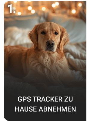 PAJ GPS Tracker für Hunde zu Hause abnehmen für längere Akkulaufzeit