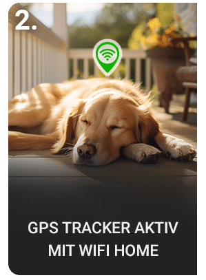 PAJ GPS Tracker für Hunde auch zu Hause weiterhin nutzen. Längere Akkulaufzeit dank WiFi Home Zone.