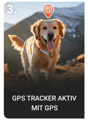 PAJ GPS Tracker für Hunde draußen aktiv nutzen dank optimalen GPS-Empfang