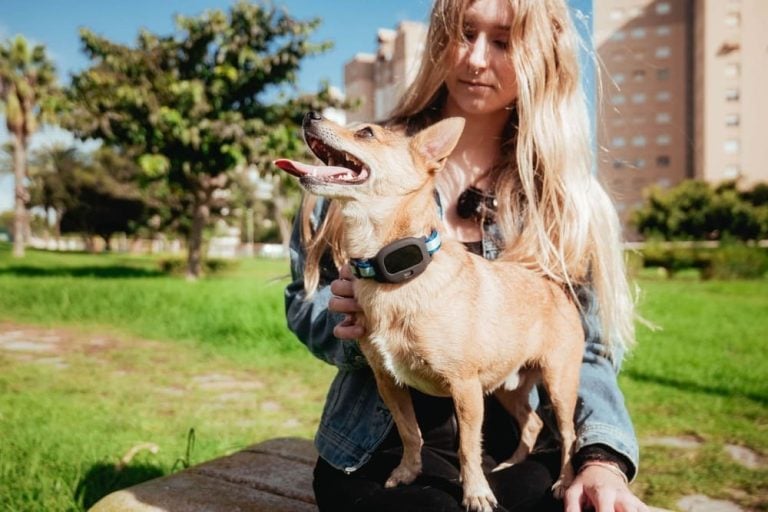 Eine Frau streichelt ihren Hund.